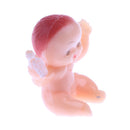 Pack of 24 Mini Sitting Babies Baby Shower Party Decor My Water Broke Game 1.5