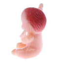 Pack of 24 Mini Sitting Babies Baby Shower Party Decor My Water Broke Game 1.5