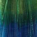 Women Girls Shining Rainbow Belly Dance Fairy Belly Dance 360 Degree Belly Wings