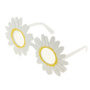 Novelty Daisy Flower Glasses Fancy Dress Wedding Birthday Party Gift Favors