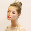 Wedding Bride Crystal Crown Headband Star Earrings Girls Woman Party Jewelry