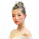 Wedding Bride Crystal Crown Headband Star Earrings Girls Woman Party Jewelry