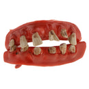 Halloween Horror Pirate Costume Teeth Fancy Dress Props Accessories