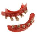 Halloween Horror Pirate Costume Teeth Fancy Dress Props Accessories