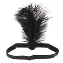 Vintage Charleston Party Peacock Feather Headband Wedding Party Costume Prop