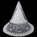 Wedding Veil Appliques Edge Chapel Long Bridal Veils With Comb Accessories