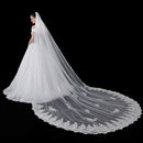 Wedding Veil Appliques Edge Chapel Long Bridal Veils With Comb Accessories