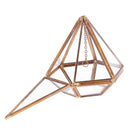 Vintage Mini Vertebral Metal Geometric Terrarium Box Succulent Plant Planter