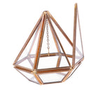 Vintage Mini Vertebral Metal Geometric Terrarium Box Succulent Plant Planter