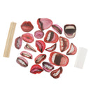 20pcs Set Funny Mouth Lips Photo Props Bachelor Hen Night Party Accessories
