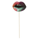 Set of 20pcs Funny Bachelor Hen Stag Night DIY Photo Props Lips Cosplay Costume