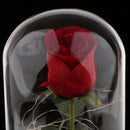 Led Preserved Rose Flower with Glass Box Gifts for Valentine's Day Anniversary, Birthday Party