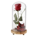 Led Preserved Rose Flower with Glass Box Gifts for Valentine's Day Anniversary, Birthday Party