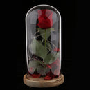 Led Preserved Rose Flower with Glass Box Gifts for Valentine's Day Anniversary, Birthday Party