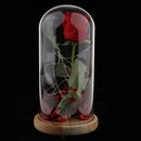 Led Preserved Rose Flower with Glass Box Gifts for Valentine's Day Anniversary, Birthday Party