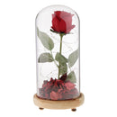 Led Preserved Rose Flower with Glass Box Gifts for Valentine's Day Anniversary, Birthday Party