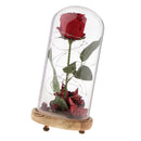 Led Preserved Rose Flower with Glass Box Gifts for Valentine's Day Anniversary, Birthday Party