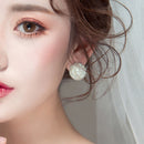 Elegant Crystal Rhinestone Ear Studs Earring Wedding Pageant Party Jewelry