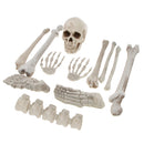 Horrific Skeleton Bones 12 Pieces With Skull for Halloween Party Decorations