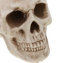 Horrific Skeleton Bones 12 Pieces With Skull for Halloween Party Decorations