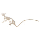 PVC Animal Skeleton Bones Horror Halloween Home Haunted House Decor-Mouse
