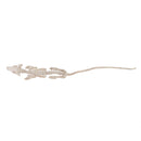 PVC Animal Skeleton Bones Horror Halloween Home Haunted House Decor-Mouse