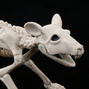 PVC Animal Skeleton Bones Horror Halloween Home Haunted House Decor-Mouse