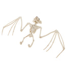 PVC Animal Skeleton Bones Horror Halloween Home Haunted House Decor-Bat