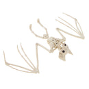 PVC Animal Skeleton Bones Horror Halloween Home Haunted House Decor-Bat