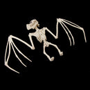 PVC Animal Skeleton Bones Horror Halloween Home Haunted House Decor-Bat