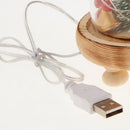 USB Glass Cover Led Micro Landscape Lights Creative Christmas Decoration New Year Gift Ornament