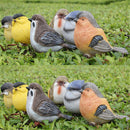 6pcs Little Bird Set Detailed Resin Garden Ornaments Decorations Patio Door Pond