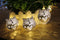 KCASA 1.8M 10 LED Metal Owl String Lights LED Fairy Lights for Festival Christmas Decoration