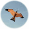 Emulation Flying Hawk Kite Bird Scarer For Garden Scarecrow Yard House Home Decorations