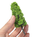20pcs Dark/Light Green Tree Fixation Strap