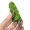 20pcs Dark/Light Green Tree Fixation Strap
