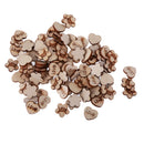 100pcs Mixed Wooden Shapes Hearts Plum Flower Unfinished Wood Pieces Embellishments for DIY Crafts