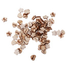 100pcs Mixed Wooden Shapes Hearts Plum Flower Unfinished Wood Pieces Embellishments for DIY Crafts