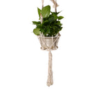 Double-Deck Plant Hanger 4 Legs 125cn Strong Handmade Cotton Rope Indoor Outdoor Ceiling Plant Holder