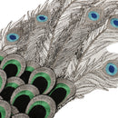 1 Piece Embroidered Patch Applique Peacock Sewing Trims for Clothing Crafts