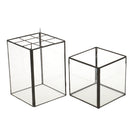 Water Planting 20cm Height Square Shaped Tabletop Glass Geometric Succulent Plant Terrarium Box Planter Flower Pot for Fern Moss