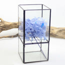 Water Planting 20cm Height Square Shaped Tabletop Glass Geometric Succulent Plant Terrarium Box Planter Flower Pot for Fern Moss