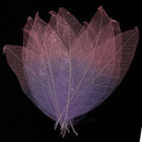 Decorative Skeleton Leaves Scrapbooking Embellishment Cardmaking Bookmark Supplies Pack Of 50PCS Purple+Pink