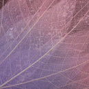 Decorative Skeleton Leaves Scrapbooking Embellishment Cardmaking Bookmark Supplies Pack Of 50PCS Purple+Pink