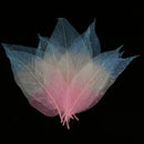 Decorative Skeleton Leaves Scrapbooking Embellishment Cardmaking Bookmark Supplies Pack Of 50PCS Pink+Beige+Blue
