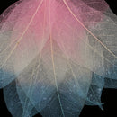 Decorative Skeleton Leaves Scrapbooking Embellishment Cardmaking Bookmark Supplies Pack Of 50PCS Pink+Beige+Blue
