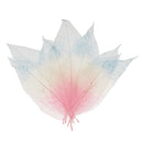 Decorative Skeleton Leaves Scrapbooking Embellishment Cardmaking Bookmark Supplies Pack Of 50PCS Pink+Beige+Blue