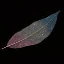 Decorative Skeleton Leaves Scrapbooking Embellishment Cardmaking Bookmark Supplies Pack Of 50PCS Pink+Beige+Blue