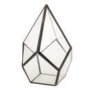 Geometric Shape Glass Flower Pot Terrarium Box Moss Succulent Plant Display Case Holder