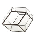 Rhombus Shape Hanging Glass Geometric Terrarium Box Succulent Air plant Case